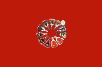 叶集回收红酒